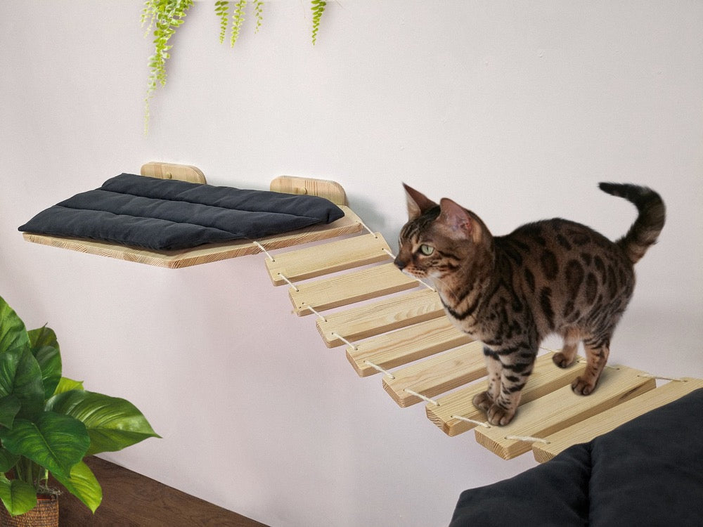 Corner Bridge-Shelf for Big Cats, Perfect for Playing and Sleeping on it, Handmade Cat Wall Shelf