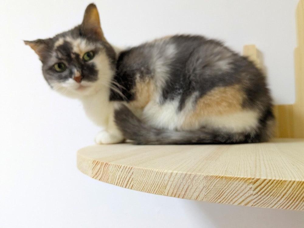 Сastle Cat Corner Shelf with Pillow and Borders, Cat shelves for wall, Cat furniture