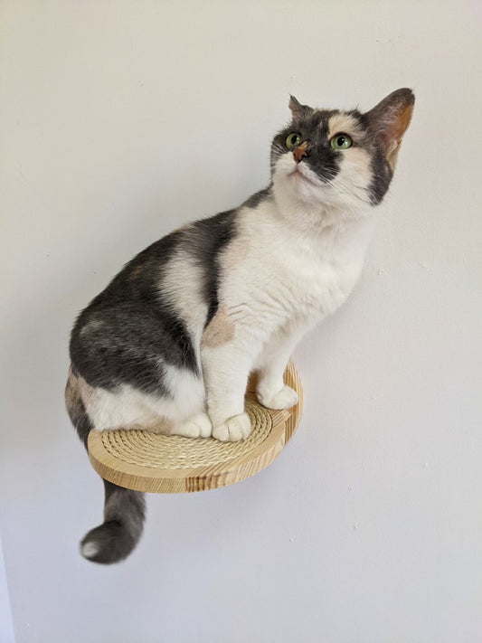 Beautiful Cat Steps for walls with sisal rope, Modern Cat Shelves for wall from Ukraine, 5 color for wood